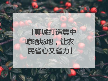 聊城打造集中晾晒场地，让农民省心又省力