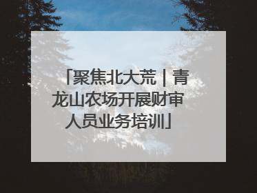 聚焦北大荒｜青龙山农场开展财审人员业务培训