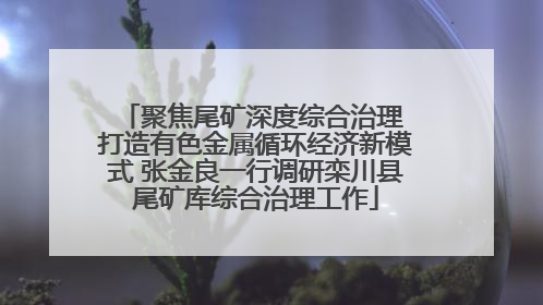 聚焦尾矿深度综合治理 打造有色金属循环经济新模式 张金良一行调研栾川县尾矿库综合治理工作