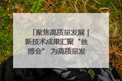 聚焦高质量发展｜新技术成果汇聚“丝博会” 为高质量发展注入新动能