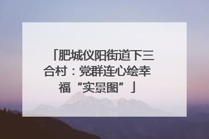 肥城仪阳街道下三合村：党群连心绘幸福“实景图”