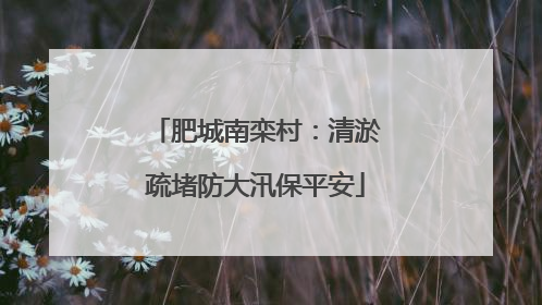 肥城南栾村：清淤疏堵防大汛保平安