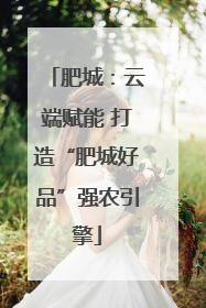 肥城：云端赋能 打造“肥城好品”强农引擎