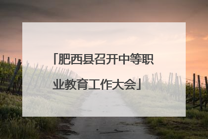 肥西县召开中等职业教育工作大会