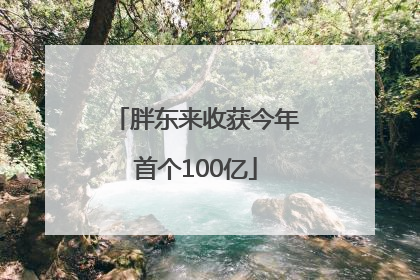 胖东来收获今年首个100亿
