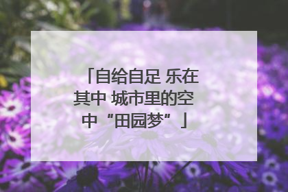 自给自足 乐在其中 城市里的空中“田园梦”