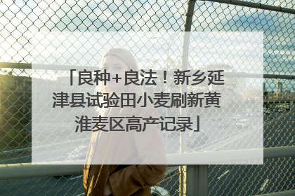 良种+良法！新乡延津县试验田小麦刷新黄淮麦区高产记录