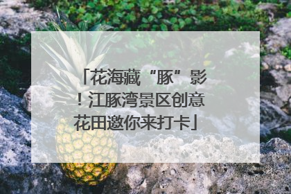 花海藏“豚”影！江豚湾景区创意花田邀你来打卡