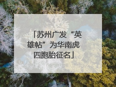 苏州广发“英雄帖”为华南虎四胞胎征名