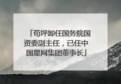苟坪卸任国务院国资委副主任，已任中国星网集团董事长