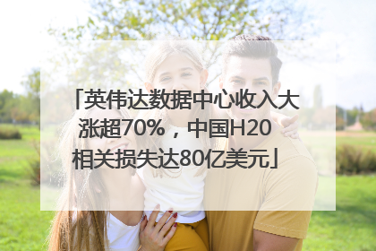 英伟达数据中心收入大涨超70%，中国H20相关损失达80亿美元