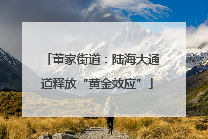 董家街道：陆海大通道释放“黄金效应”
