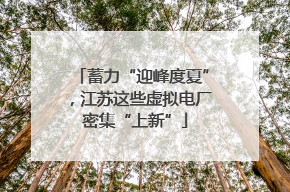 蓄力“迎峰度夏”，江苏这些虚拟电厂密集“上新”