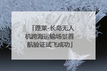 蓬莱-长岛无人机跨海运输场景首航验证试飞成功