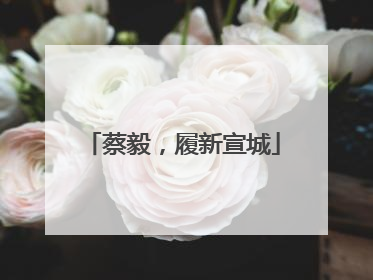 蔡毅，履新宣城