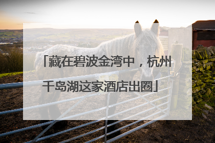 藏在碧波金湾中，杭州千岛湖这家酒店出圈