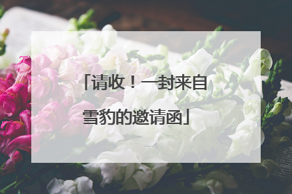 请收！一封来自雪豹的邀请函