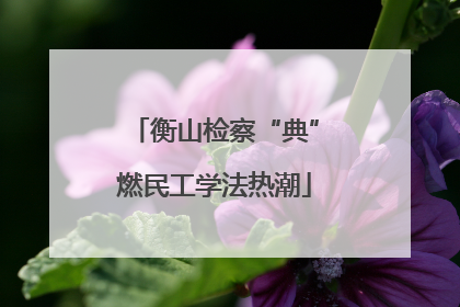 衡山检察“典”燃民工学法热潮