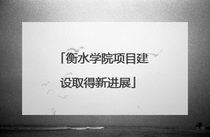 衡水学院项目建设取得新进展