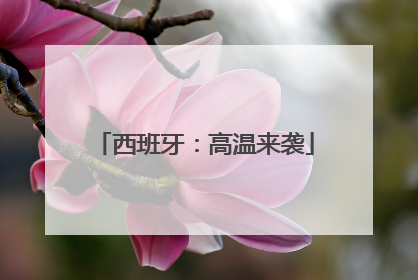 西班牙：高温来袭