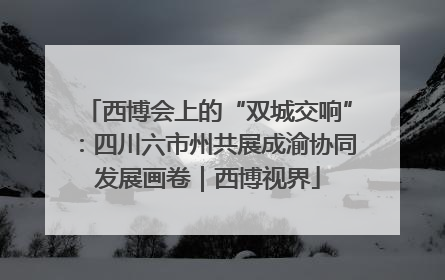西博会上的“双城交响”：四川六市州共展成渝协同发展画卷｜西博视界