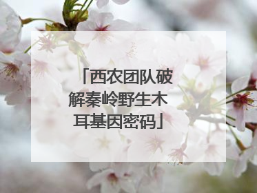 西农团队破解秦岭野生木耳基因密码