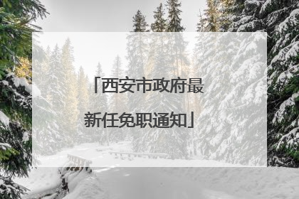 西安市政府最新任免职通知