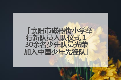 襄阳市磁器街小学举行新队员入队仪式 130余名少先队员光荣加入中国少年先锋队