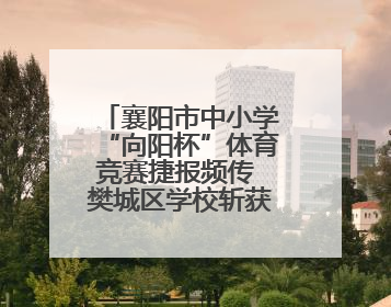 襄阳市中小学“向阳杯”体育竞赛捷报频传 樊城区学校斩获多项冠军