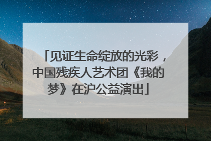 见证生命绽放的光彩，中国残疾人艺术团《我的梦》在沪公益演出