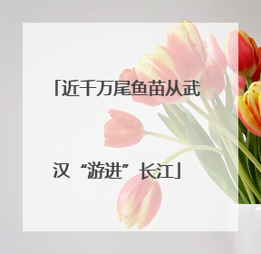 近千万尾鱼苗从武汉“游进”长江