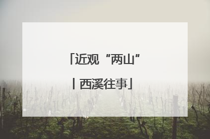 近观“两山”丨西溪往事