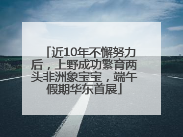 近10年不懈努力后，上野成功繁育两头非洲象宝宝，端午假期华东首展