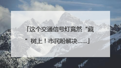 这个交通信号灯竟然“藏”树上！市民盼解决……