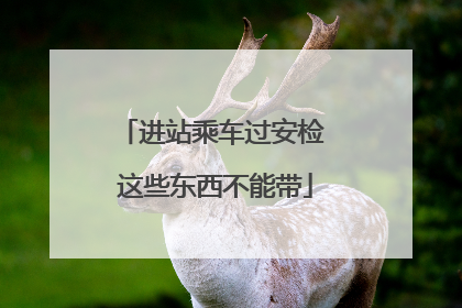 进站乘车过安检 这些东西不能带