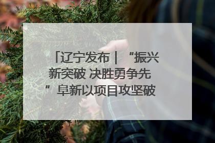 辽宁发布｜“振兴新突破 决胜勇争先”阜新以项目攻坚破解发展瓶颈 经济发展实现良好开局