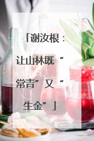 谢汝根：让山林既“常青”又“生金”