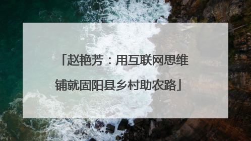 赵艳芳：用互联网思维铺就固阳县乡村助农路