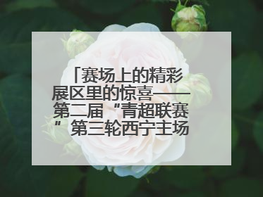 赛场上的精彩 展区里的惊喜——第二届“青超联赛”第三轮西宁主场比赛见闻