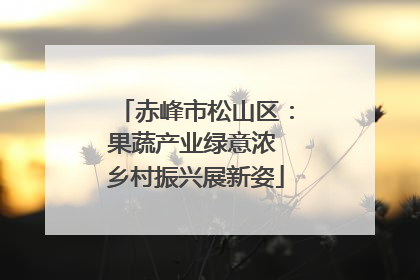 赤峰市松山区：果蔬产业绿意浓 乡村振兴展新姿
