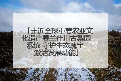 走近全球重要农业文化遗产皋兰什川古梨园系统 守护生态瑰宝 激活发展动能