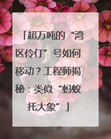 超万吨的“湾区伶仃”号如何移动？工程师揭秘：类似“蚂蚁托大象”