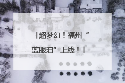 超梦幻！福州“蓝眼泪”上线！