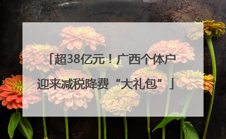 超38亿元！广西个体户迎来减税降费“大礼包”