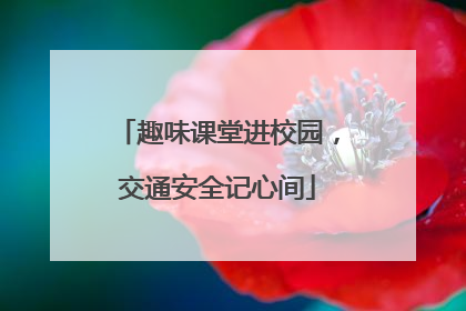 趣味课堂进校园，交通安全记心间