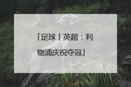 足球丨英超：利物浦庆祝夺冠