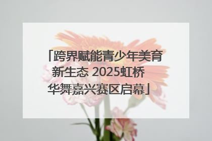 跨界赋能青少年美育新生态 2025虹桥华舞嘉兴赛区启幕