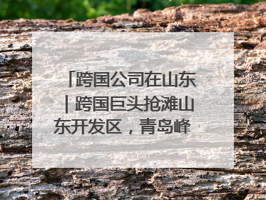 跨国公司在山东｜跨国巨头抢滩山东开发区，青岛峰会拉开帷幕