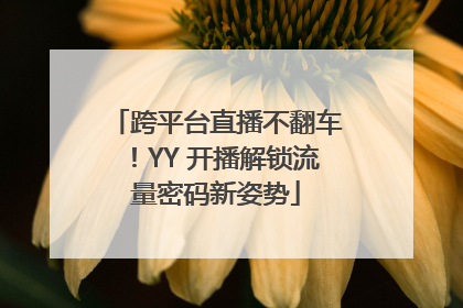 跨平台直播不翻车！YY 开播解锁流量密码新姿势