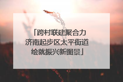 跨村联建聚合力 济南起步区太平街道绘就振兴新图景